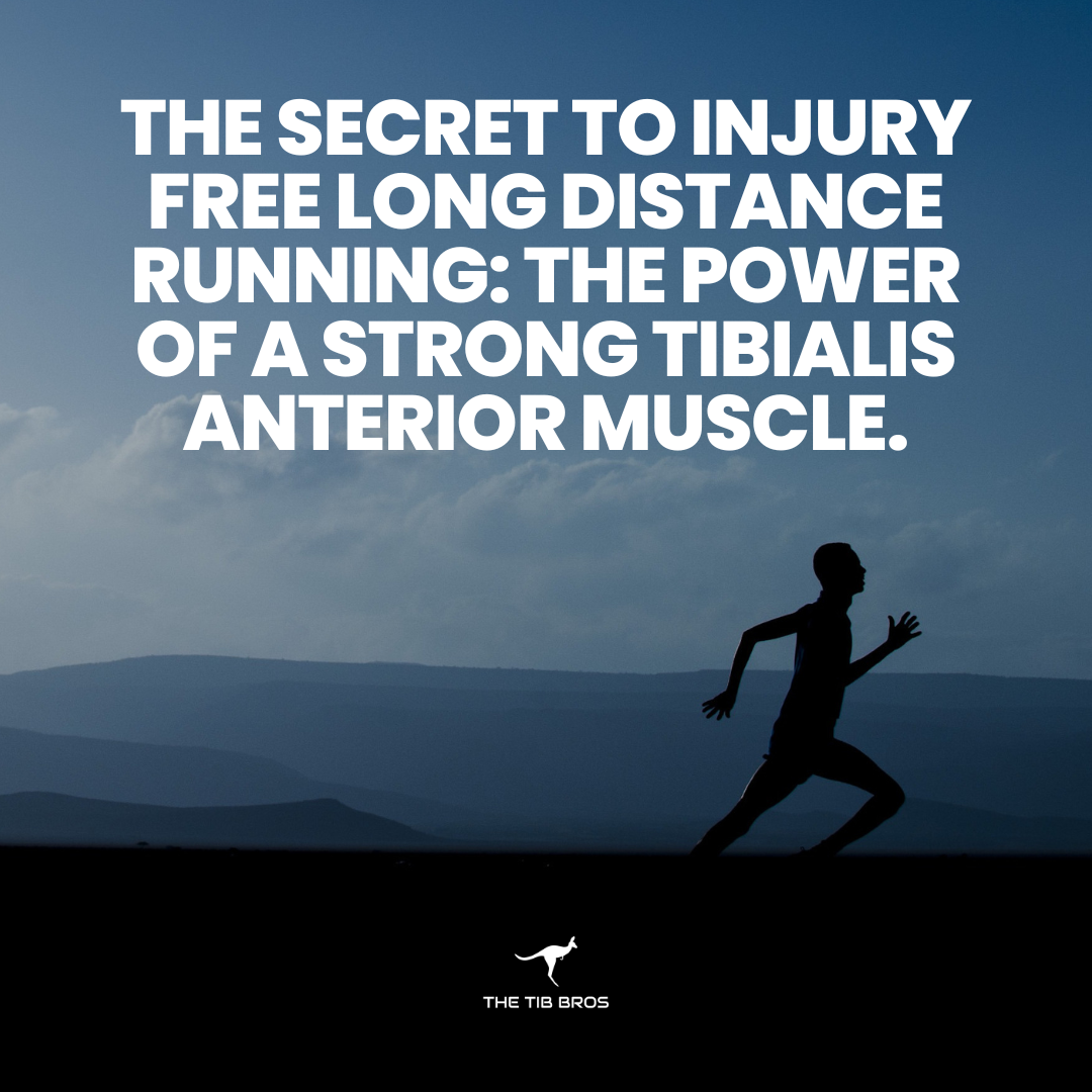 The Secret to Injury Free Long Distance Running: The Power of a Strong Tibialis Anterior Muscle.